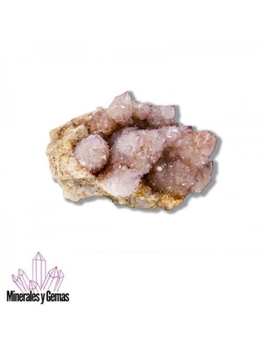 Drusa de Amatista cactus 640 gr