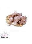 Drusa de Amatista cactus 640 gr
